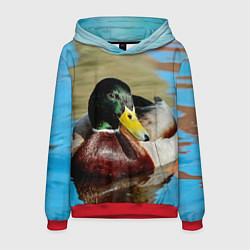 Толстовка-худи мужская Утка Кряква - селезень, цвет: 3D-красный