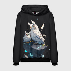 Толстовка-худи мужская Филины и магия, цвет: 3D-черный