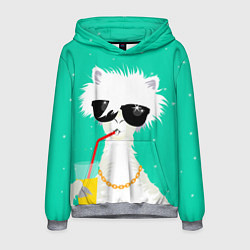 Толстовка-худи мужская Лама - альпака на чиле, цвет: 3D-меланж