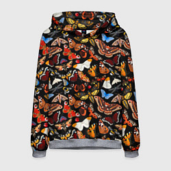 Толстовка-худи мужская Разноцветные тропические бабочки, цвет: 3D-меланж