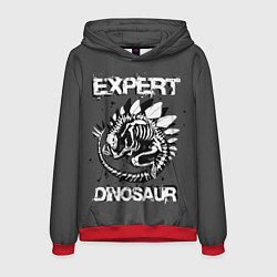 Толстовка-худи мужская Dinosaur expert, цвет: 3D-красный