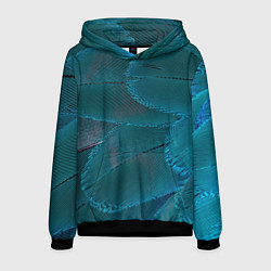 Толстовка-худи мужская Зеленые перья птицы, цвет: 3D-черный