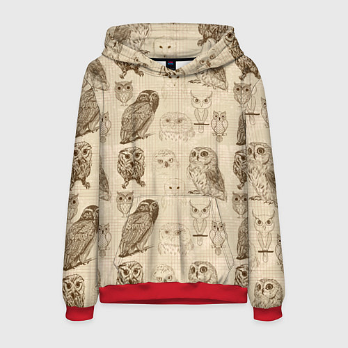 Мужская толстовка Эскизы сов тетрадный лист в клетку / 3D-Красный – фото 1