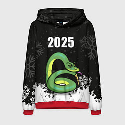 Толстовка-худи мужская Змея - 2025, цвет: 3D-красный