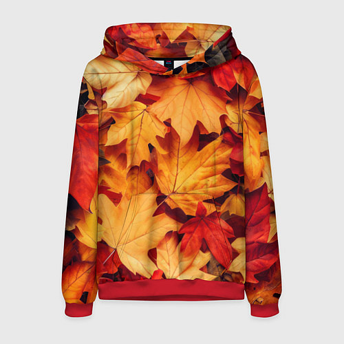 Мужская толстовка Осенние кленовые листья / 3D-Красный – фото 1
