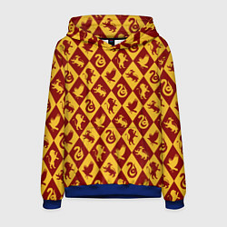 Толстовка-худи мужская Гарри Поттер факультеты, цвет: 3D-синий