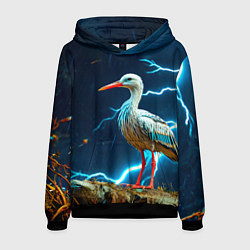 Толстовка-худи мужская Аист и гроза, цвет: 3D-черный