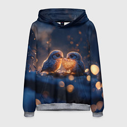 Толстовка-худи мужская Милые влюбленные совушки, цвет: 3D-меланж