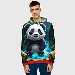 Толстовка-худи мужская Панда в колодце, цвет: 3D-красный — фото 2