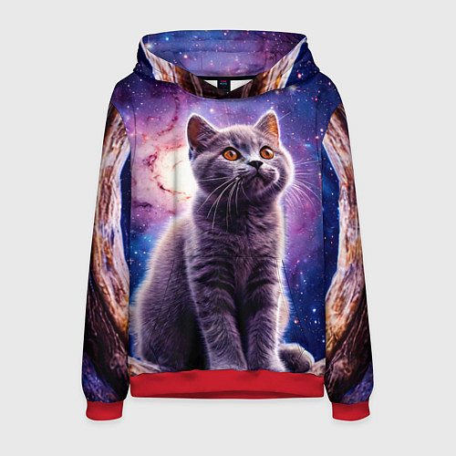Мужская толстовка Британская короткошёрстная кошка в космосе / 3D-Красный – фото 1