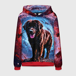 Толстовка-худи мужская Ньюфаундленд в космосе, цвет: 3D-красный