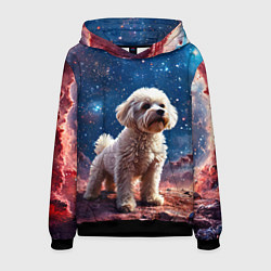 Толстовка-худи мужская Бишон в космосе, цвет: 3D-черный