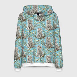 Толстовка-худи мужская Пришла весна распустились котики, цвет: 3D-белый