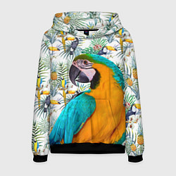 Толстовка-худи мужская Летний попугай, цвет: 3D-черный