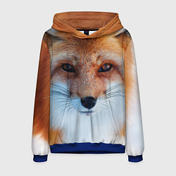 Толстовка-худи мужская Взгляд лисы, цвет: 3D-синий