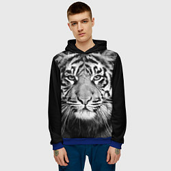 Толстовка-худи мужская Красавец тигр, цвет: 3D-синий — фото 2