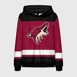 Толстовка-худи мужская Arizona Coyotes, цвет: 3D-черный