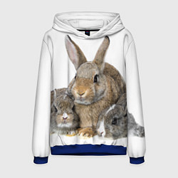Толстовка-худи мужская Кролики - семейство, цвет: 3D-синий