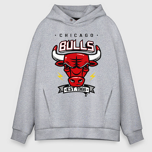 Мужское худи оверсайз Chicago Bulls est. 1966 / Меланж – фото 1