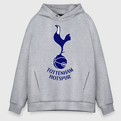 Толстовка оверсайз мужская Tottenham FC, цвет: меланж