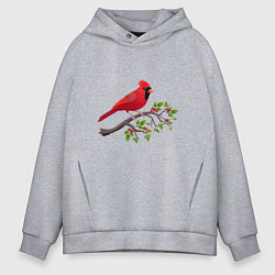 Толстовка оверсайз мужская Красный кардинал, цвет: меланж