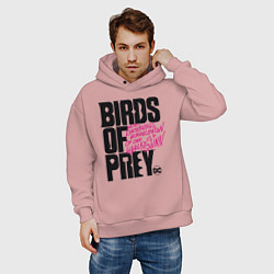 Толстовка оверсайз мужская Birds of Prey logo, цвет: пыльно-розовый — фото 2