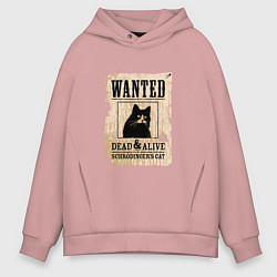 Толстовка оверсайз мужская Кот, цвет: пыльно-розовый