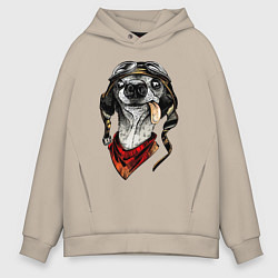 Толстовка оверсайз мужская Biker dog, цвет: миндальный