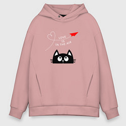 Толстовка оверсайз мужская Котик Самолётик, цвет: пыльно-розовый