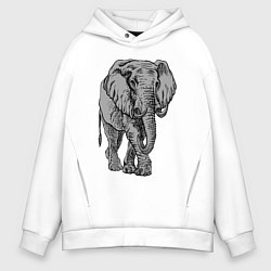 Толстовка оверсайз мужская Огромный могучий слон, цвет: белый