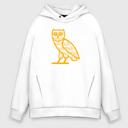 Толстовка оверсайз мужская Drake сова, цвет: белый