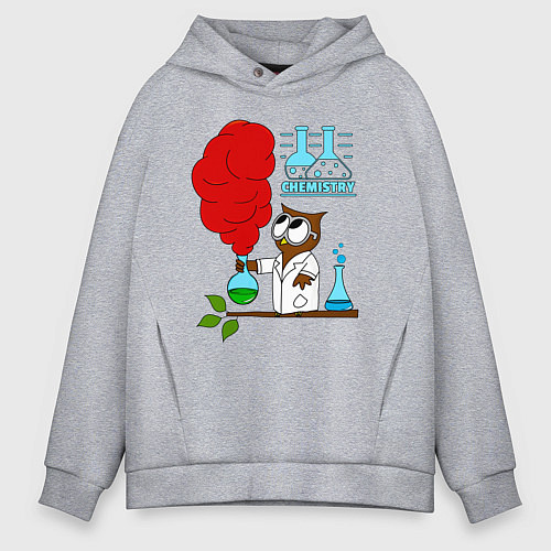 Мужское худи оверсайз Сова химик / Меланж – фото 1