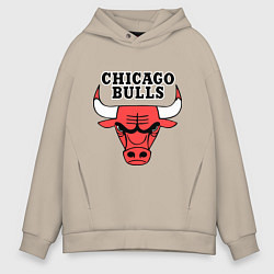 Толстовка оверсайз мужская Chicago Bulls, цвет: миндальный