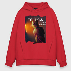 Толстовка оверсайз мужская STRAY FOLLOW MEOW, цвет: красный