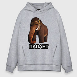 Толстовка оверсайз мужская Мамонт папант, цвет: меланж
