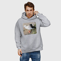 Толстовка оверсайз мужская Андский гусь, цвет: меланж — фото 2