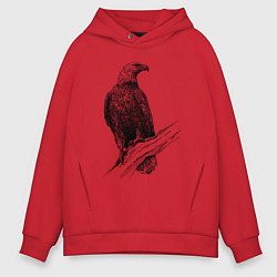 Толстовка оверсайз мужская Орёл на ветке, цвет: красный