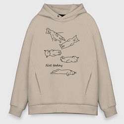 Толстовка оверсайз мужская Not today спящие коты, цвет: миндальный