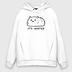 Толстовка оверсайз мужская Cat its winter, цвет: белый