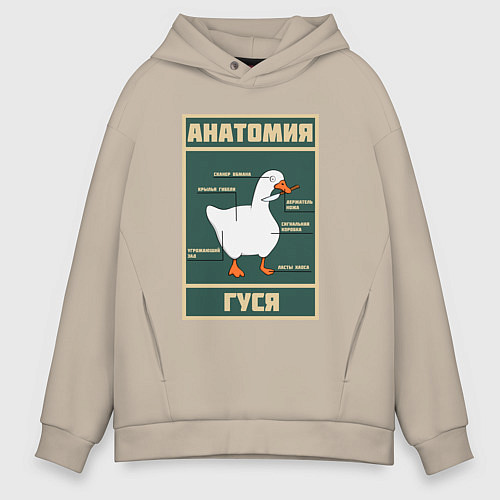 Мужское худи оверсайз Анатомия гуся / Миндальный – фото 1