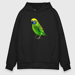 Толстовка оверсайз мужская Зеленый попугай, цвет: черный