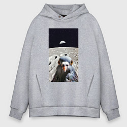 Толстовка оверсайз мужская Голубь на луне делает селфи, цвет: меланж