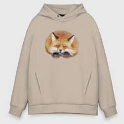Толстовка оверсайз мужская Милая пушистая лисичка, цвет: миндальный