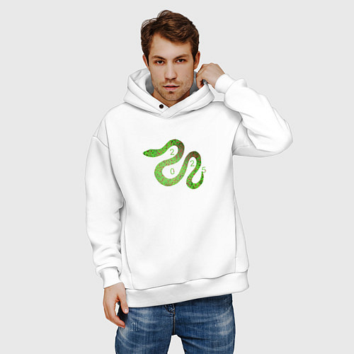 Мужское худи оверсайз Змея зеленая 2025 / Белый – фото 3