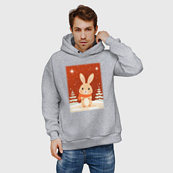 Толстовка оверсайз мужская Снежный милый кролик, цвет: меланж — фото 2