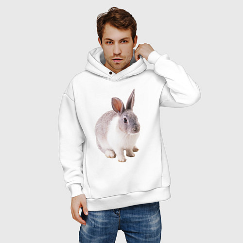 Мужское худи оверсайз Кролик бело-серый / Белый – фото 3