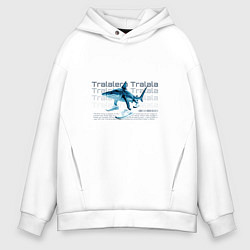 Толстовка оверсайз мужская Brainrot animals тралалело тралала мем, цвет: белый