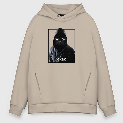 Мужское худи оверсайз Окак кот / Миндальный – фото 1