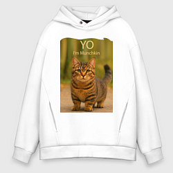 Толстовка оверсайз мужская Yo - Im Munchkin, цвет: белый