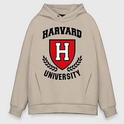 Толстовка оверсайз мужская Harvard University, цвет: миндальный
